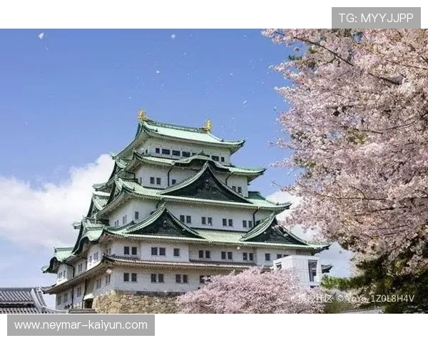 城市打卡攻略全面评测带你玩转最火热景点与隐藏宝地